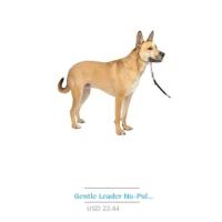 Correa de Perro Suave y Transpirable con Estampado de Dodo Azul Cubierta Ancha con Hebilla de Libertad de Pinzamiento - details 7