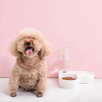 Grifo de Agua Automático para Mascotas Doble Alimentador para Perros Gatos - details 3