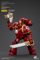 JOYTOY Figura de Acción Horus Heresy Legión de Mil Hijos del Tacticante MK IV - details 26