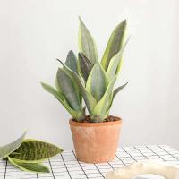 Plantas artificiales para decoración del jardín del hogar, rama de Sanseviria de plástico, bonsái DIY, plantas falsas para exteriores - details 10