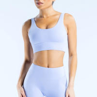 Nuevo sujetador deportivo minimalista de spandex con costura nueva, adecuado para el fitness femenino, estiramiento, ropa de yoga transpirable. ﻿ - details 13