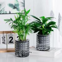 Riego automático de plástico transparente de doble capa con absorción de agua hidropónica perezosa ETA, decoración del hogar - details 6