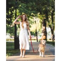 Correa táctica para perros de alta resistencia, plomo elástico que absorbe los golpes de 4 a 6 pies con 2 asas acolchadas, mosqueteero de Metal, cinturón de seguridad para automóvil, - details 2