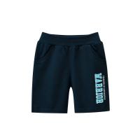 Ropa para niños 2025 verano nuevos niños medianos y pequeños pantalones medianos pantalones de cinco puntos para niños - details 0