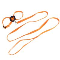 Arnés ajustable para mascotas, correa para reptiles, Tortuga, Gerbil, lagarto, entrenamiento al aire libre, Correa suave, antimordedura, Multicolor, cuerda de tracción ligera - details 6