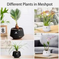 Redes de orquídeas con agujeros, bandejas de té, replantación de plantas, ETA para jardines con buena drenaje interior y exterior. - details 5