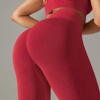 Hamidou-mallas deportivas para mujer, pantalones de Yoga de cintura alta, sin costuras, para correr, Fitness y entrenamiento - details 5