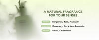 Milky body oil, lightweight, non-greasy, hydrating, vegan, moisturizing, exfoliating, soothing.