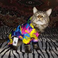 Abrigos impermeables para perros pequeños y gatos, abrigo cálido de cuerpo completo a prueba de viento para cachorros, ropa de invierno para exteriores, chaqueta de nieve - details 12