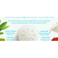 ice breakers mints grocery focus supplement breath mints caffeine mint fresh