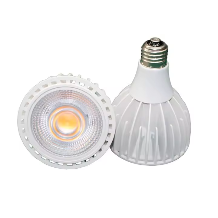Luz de Espectro Completo LED Aladin PAR30 PAR38 E27 E26 G12 15W 20W 25W 30W - 1