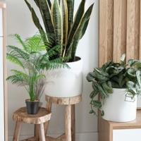 plantas artificiales al aire libre