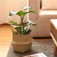 Cestas de almacenamiento Naturales de algas marinas, maceta de flores de estilo nórdico, cesta de plantas, bolsa de cultivo tejida de paja, maceta colgante, decoración del hogar - details 10