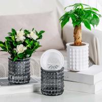 Riego automático de plástico transparente de doble capa con absorción de agua hidropónica perezosa ETA, decoración del hogar - details 7