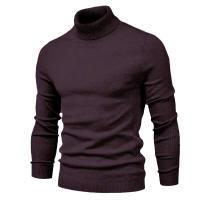 Jersey informal de cuello alto para hombre, suéter de punto, Color sólido - details 16