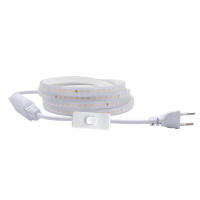Tira de luces LED con interruptor, 220V, enchufe europeo, 2835, 120LED/m, cinta LED impermeable, 3000K, 4000K, 6000K, lámpara para exteriores - details 5