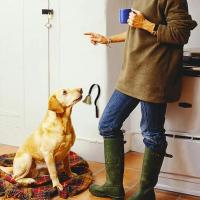 Campana colgante profesional para perros, timbre de entrenamiento de latón transparente fuerte con tornillos, suministros para mascotas, orinal - details 4