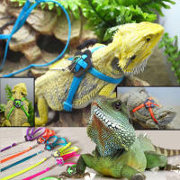 Arnés ajustable para mascotas, correa para reptiles, Tortuga, Gerbil, lagarto, entrenamiento al aire libre, Correa suave, antimordedura, Multicolor, cuerda de tracción ligera - details 0