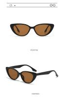 2025 gafas de sol vintage de ojo de gato para mujer, gafas de sol vintage con montura pequeña para hombre, diseño de marca de lujo, gafas para exteriores UV400 - details 25