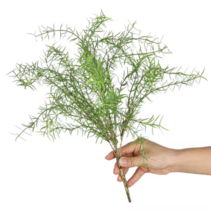 Ramas de espárragos artificiales de tacto Real, plantas de helechos artificiales elegantes y realistas, plantas falsas hechas a mano, decoración del banquete de boda - 1
