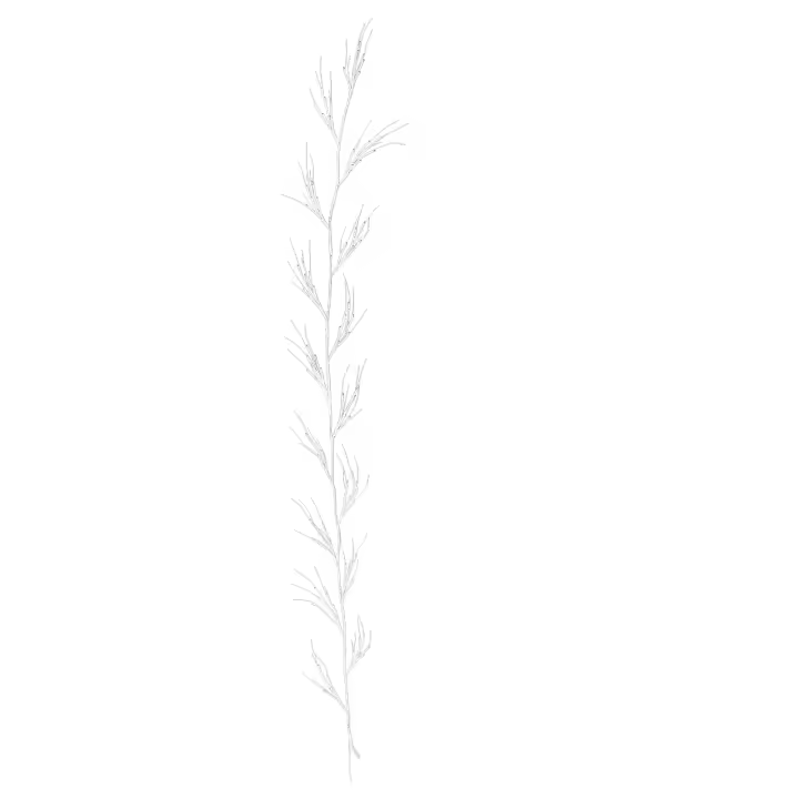 2.4m 96 LEDs Blanco Cálido Guirnalda de Abedul Iluminada Luz de Vid con control remoto para Decoraciones para Paredes - 1