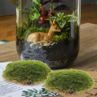 La decoración de oficina imita piedra de musgo, moldes falsos, bolas de plantas en miniatura, bonsái, decoraciones artificiales, diseño de jardín, - details 6
