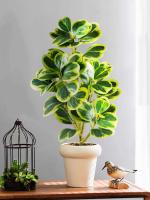 Pequeña Planta Hoya Artificial en Forma de Corazón Falsas Piñas Jugosas - details 3