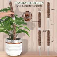 Palo de crecimiento para escalada en jardín, pequeño poste de musgo de plástico, utilizado para pila de soporte de plantas Monstera - details 1
