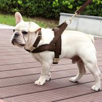 Collar de cuero para perros, juego de correas, chaleco de malla para mascotas, identificación personalizada, cables para perros pequeños, medianos y grandes - details 14