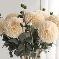 Rama de crisantemos artificiales de 80cm, 2 cabezas, simulación de tacto Real, flores de Dalia, arte Floral, flores falsas de seda hechas a mano - details 3