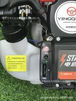Motor de gasolina integrado de arranque eléctrico de 2 tiempos 1E40F-5D para cortasetos, máquina de cepillo de sierra de ramas altas - details 2