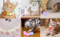 100 Piezas Bolas de Juguete para Gatos