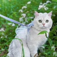 Accesorios para mascotas, arnés para gato de Estilo Princesa, correa transpirable ajustable, correa para el pecho para mascotas, nailon con lazo, chaleco para gato, sesión de fotos - details 4