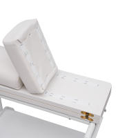 Baño de pies para uñas, Spa, carrito portátil para pedicura, manicura, masaje, blanco nuevo, 50x42x47cm/19,69x16,54x18,5 pulgadas - details 1