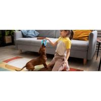 Juguetes para Perros