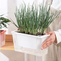 Balcón suculenta planta de autorriego maceta cuadrada de flores maceta de plástico para plantas - details 1