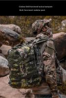 Mochila táctica de caza Molle, bolsa impermeable al aire libre para senderismo, Camping y caza - details 3