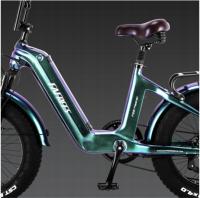 FAFREES F20 Master Bicicleta Eléctrica, Marco de Fibra de Carbono, Motor de 500W, Batería de 48V 22.5Ah, Neumáticos de 20*4,0 Pulgadas de Espesor, Frenos hidráulicos dobles, SHIMANO de 7 Velocidades, Pantalla LCD en color, Aurora Gris - details 2