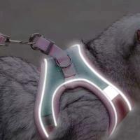 Arnés de chaleco transpirable ajustable para exteriores, correa para perro, accesorios para gatos, chaleco para mascotas, arnés para gato, Collar para gato - details 6