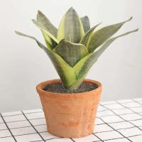 Plantas artificiales para decoración del jardín del hogar, rama de Sanseviria de plástico, bonsái DIY, plantas falsas para exteriores - details 8