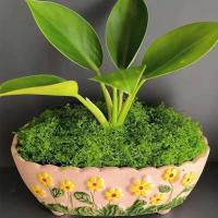 50G simulación DIY planta decoración verde PAISE musgo césped Artificial - details 7