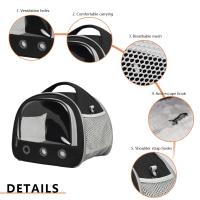 Bolsa de transporte transparente para mascotas, bolsa de malla transpirable para mascotas pequeñas, Chinchilla para p - details 5