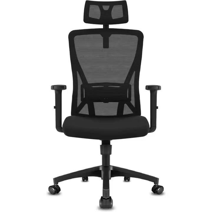 Silla de Oficina Ergonómica Silla de Escritorio Ajustable con Reposacabezas y Soporte Lumbar - 1