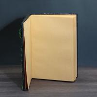Cuaderno A5 con cubierta en relieve, escala de estrella de ojo de dragón, cuaderno en relieve, estilo mitología, textura de escala Vintage, cuaderno para niños - details 5
