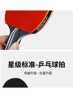 Raqueta de tenis de mesa, juego de alta elasticidad, raqueta horizontal, 2 raquetas, 3 pelotas, entrenamiento para estudiantes principiantes - details 10