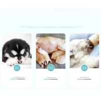 Juego de biberones para alimentación de perros y gatos, alimentador de leche y agua, cepillo de limpieza para recién nacidos, DC05, 1set - details 2