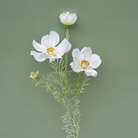 Rama de flor de Cosmos Artificial de lujo, simulación realista de plástico, crisantemo, elegante flor falsa hecha a mano - details 8