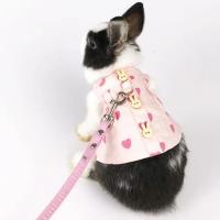 Conjunto de Correa y Arneses de Conejo A Prueba de Fugas para Chinchillas, Cobayas, Erizos - details 5