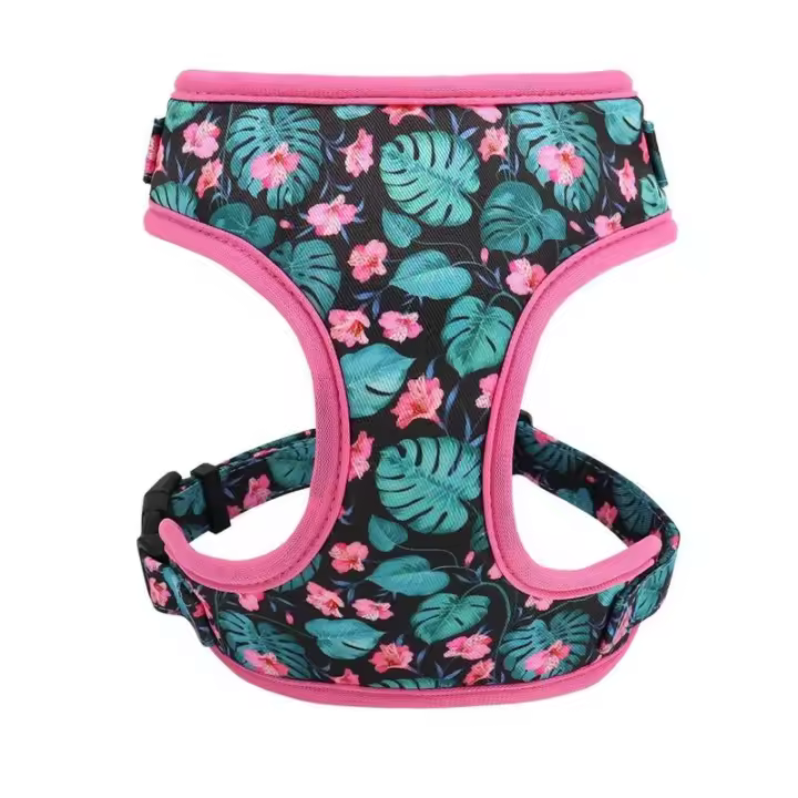 Conjunto de Collar de Bulldog Francés Correa de Nylon Estable con Estampado de Cachorros Gatos - 1
