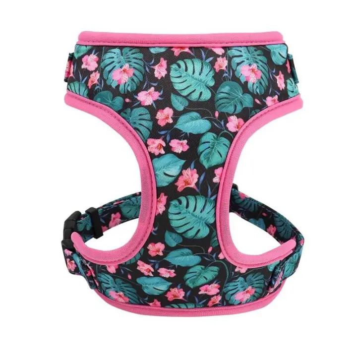 Conjunto de Collar de Bulldog Francés Correa de Nylon Estable con Estampado de Cachorros Gatos - 1